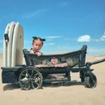 Veer Cruiser bolderkar - Afbeelding 2