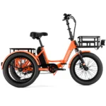 Folding Electric Trike
